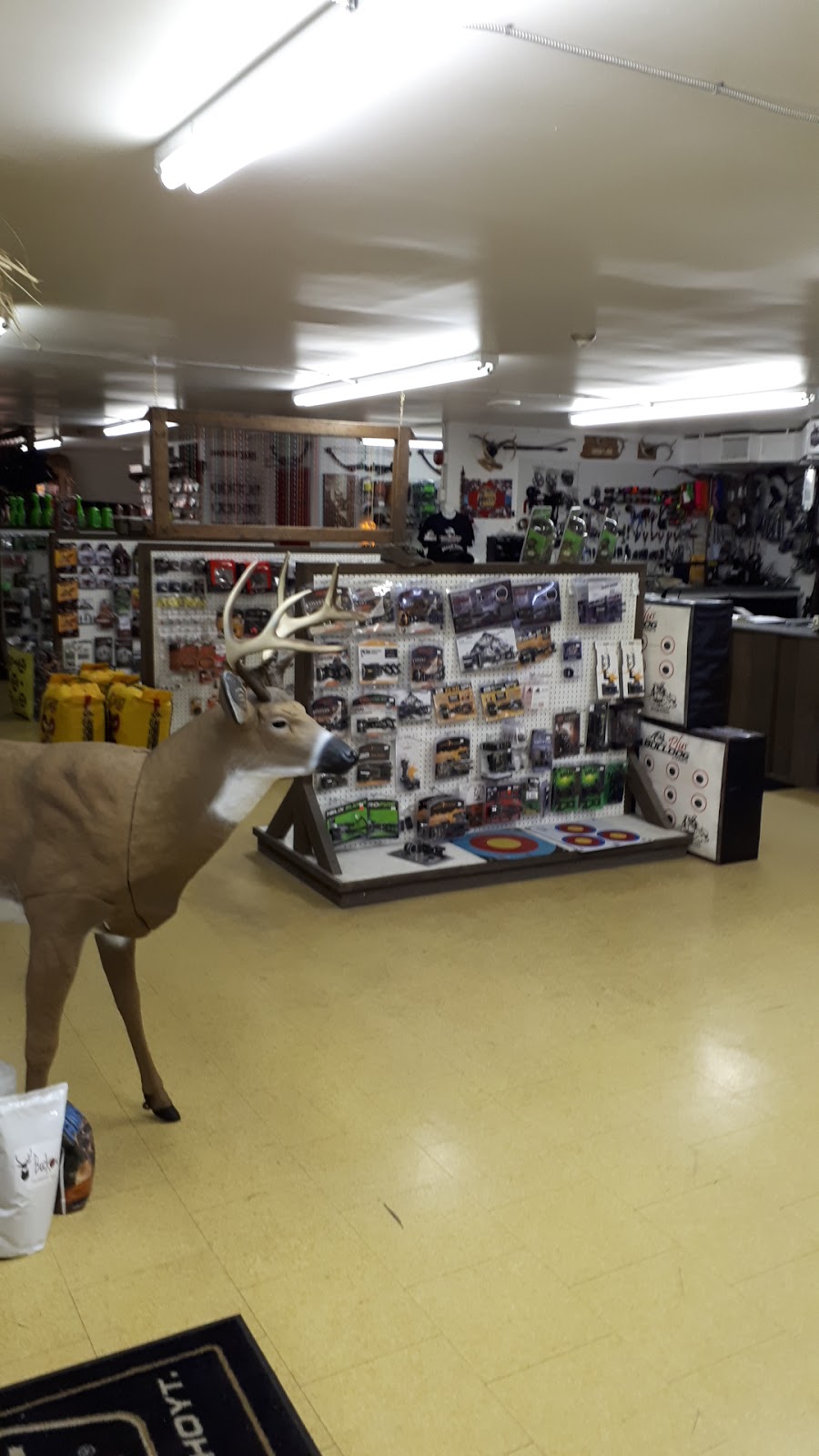 Ten Point Archery | 3450 ON-144, Chelmsford, ON P0M 1L0, Canada | Phone: (705) 222-0010