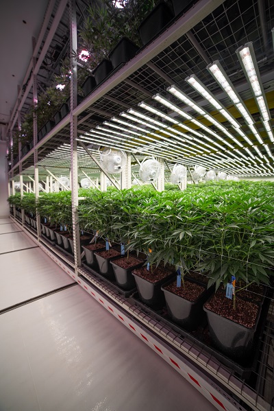 GrowHaus Supply Co | 1100 S Service Rd Unit 116, Stoney Creek, ON L8E 0C5, Canada | Phone: (866) 420-4287