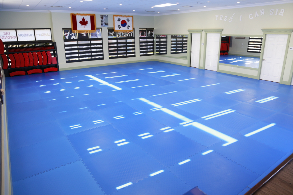 Langley Dragon Taekwondo | 19941 72 Ave #103, Langley City, BC V2Y 3J2, Canada | Phone: (604) 539-9723