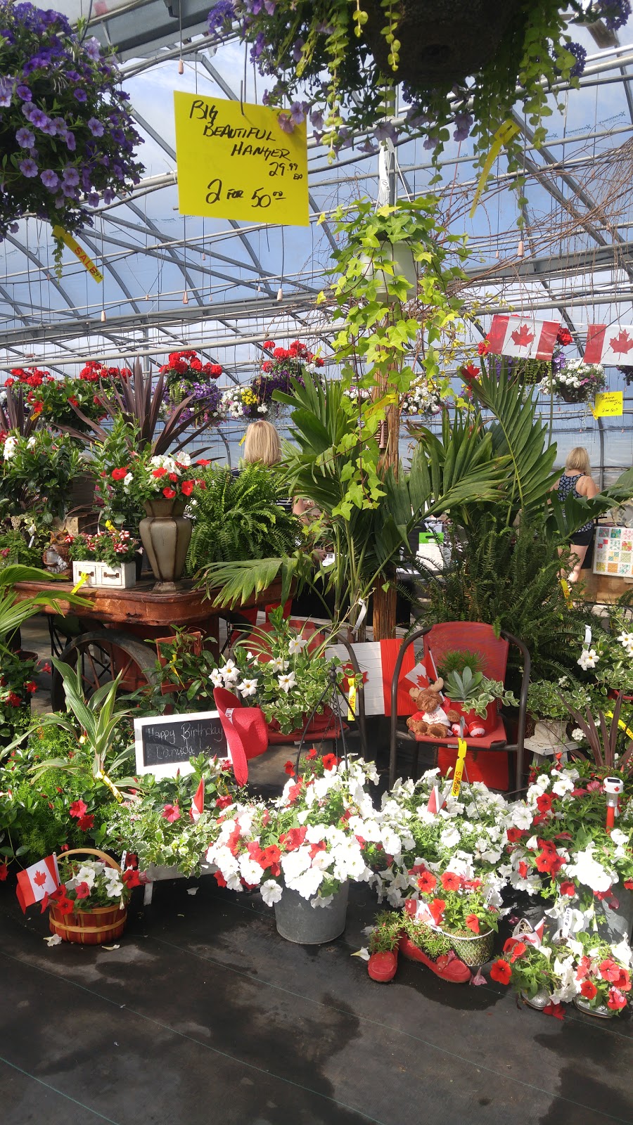 Kalis Greenhouse | 1279 Old Hwy 24, Waterford, ON N0E 1Y0, Canada | Phone: (519) 443-5151