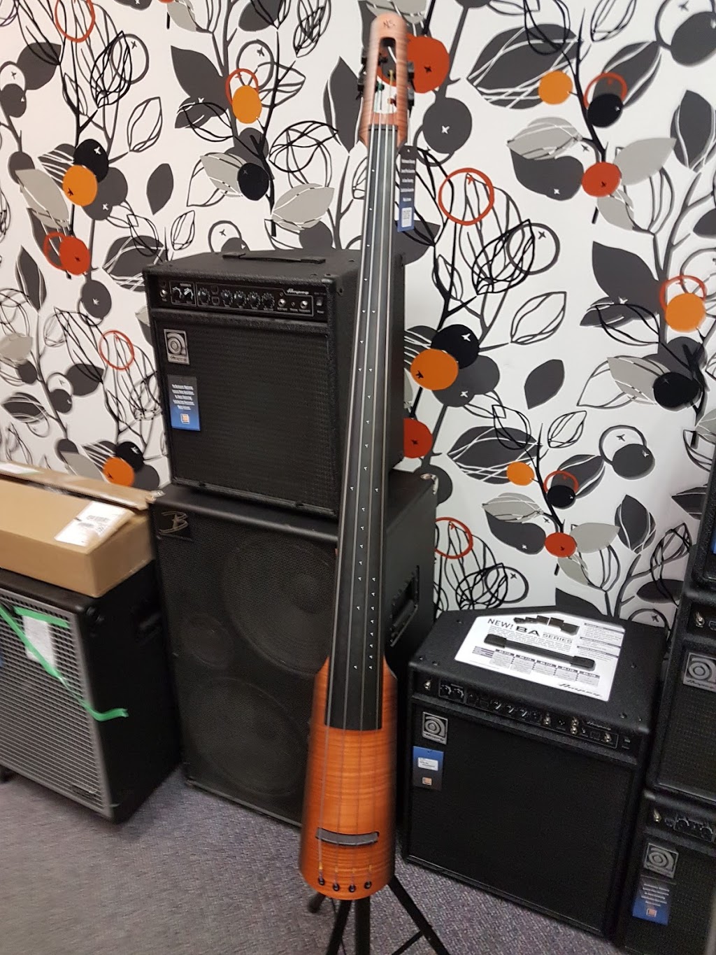 Long & McQuade Musical Instruments | 10204 107 Ave, Edmonton, AB T5H 4A5, Canada | Phone: (780) 423-4448