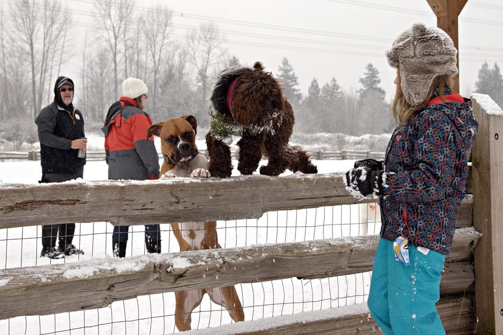 Clearbrook Park Off Leash Area | 5B5, Sparwood St, Abbotsford, BC V2T 5B5, Canada