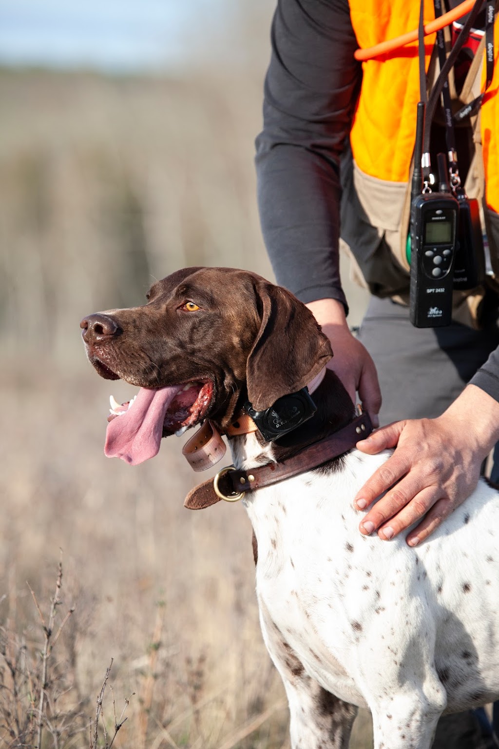 Westrock Kennels | 514004 160 St E, Foothills, AB T1V 1M3, Canada | Phone: (778) 818-1038