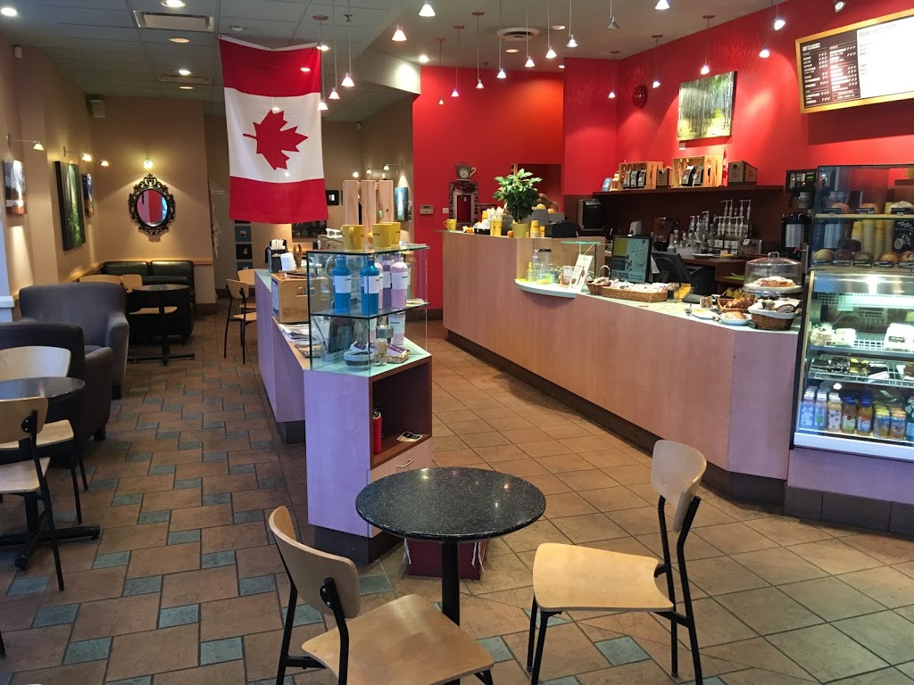 Blenz Coffee | 19800 Lougheed Hwy #310, Pitt Meadows, BC V3Y 2W1, Canada | Phone: (604) 460-9284