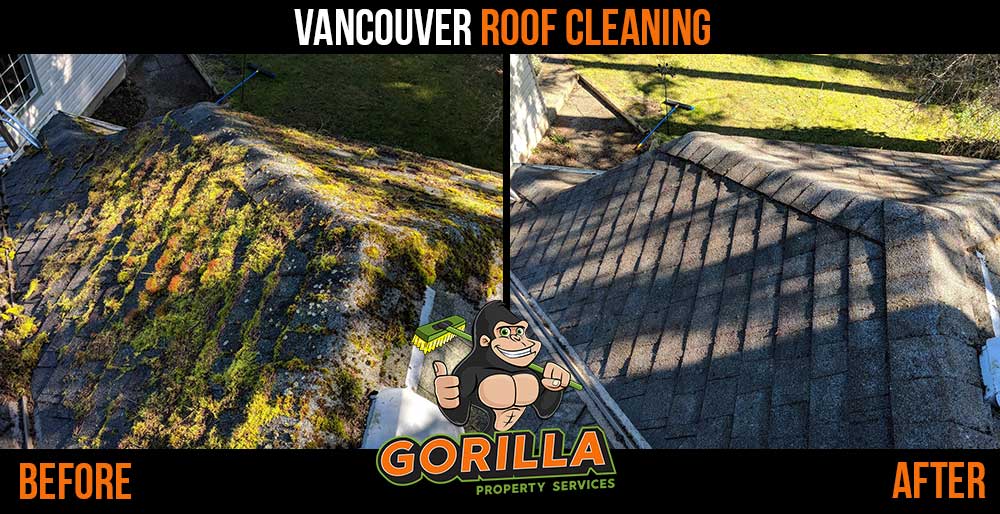 Gorilla Property Services | 8623 Granville St Suite 122, Vancouver, BC V6P 5A2, Canada | Phone: (604) 332-2090