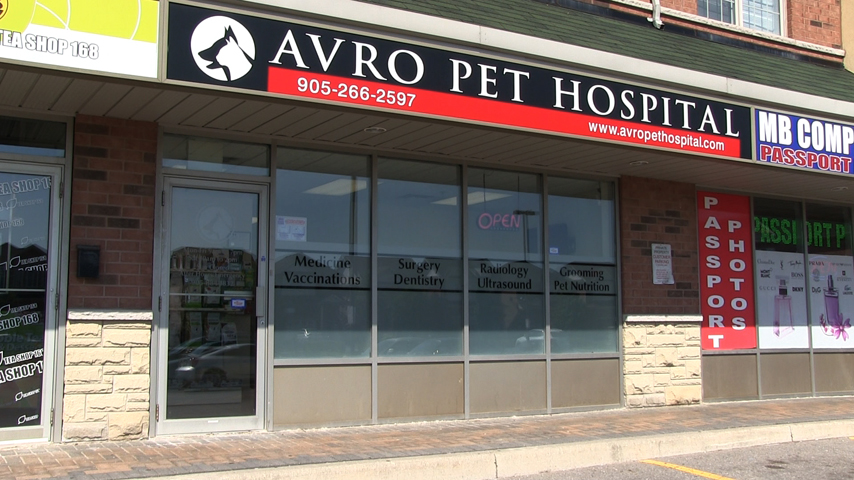 Avro Pet Hospital | 9699 Jane St #31, Maple, ON L6A 0A4, Canada | Phone: (905) 553-3505