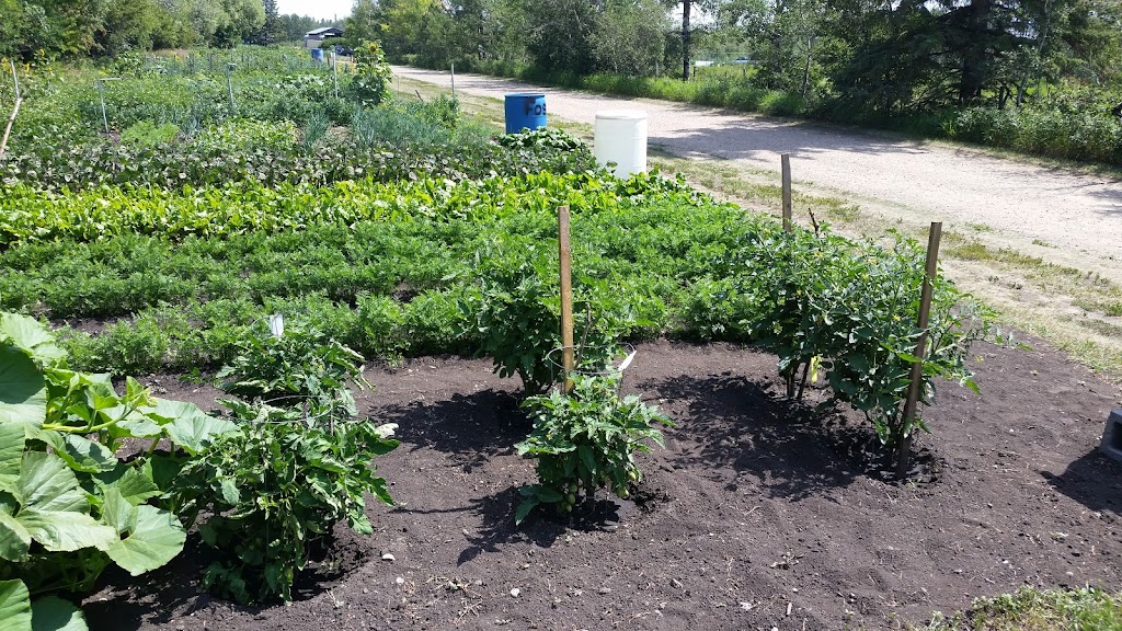 Piper Creek Community Gardens | Red Deer, AB T4R 2T3, Canada | Phone: (403) 342-8111