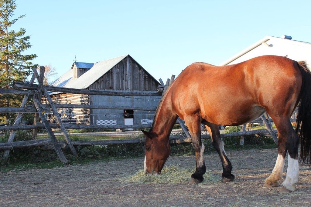 Willaway Farm | 514 Ramsay Concession 12, Almonte, ON K0A 1A0, Canada | Phone: (613) 257-7707