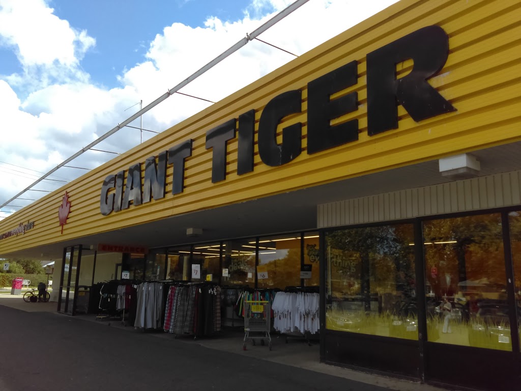 Giant Tiger | 351 Margaret Ave, Kitchener, ON N2H 4J6, Canada | Phone: (519) 742-9545