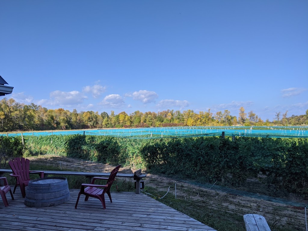 Long Dog Vineyard & Winery | 104 Brewers Rd, Milford, ON K0K 2P0, Canada | Phone: (613) 476-8807