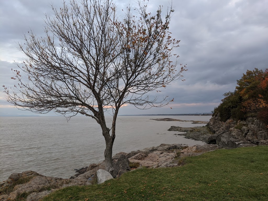 Bar-Terrasse au Bord de leau | Route du Quai, LIslet, QC G0R 2B0, Canada | Phone: (418) 247-3264