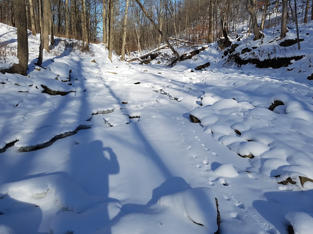 Upper Kings Forest Park | Albion Falls, Hamilton, ON L8K, Canada