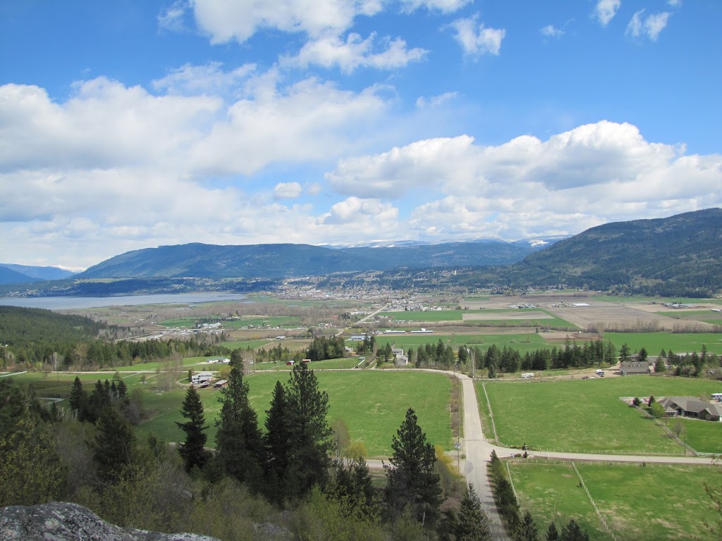 Cosens Team- Sothebys International Realty Canada | 730 9th Ave NE, Salmon Arm, BC V1E 4A1, Canada | Phone: (250) 833-5372