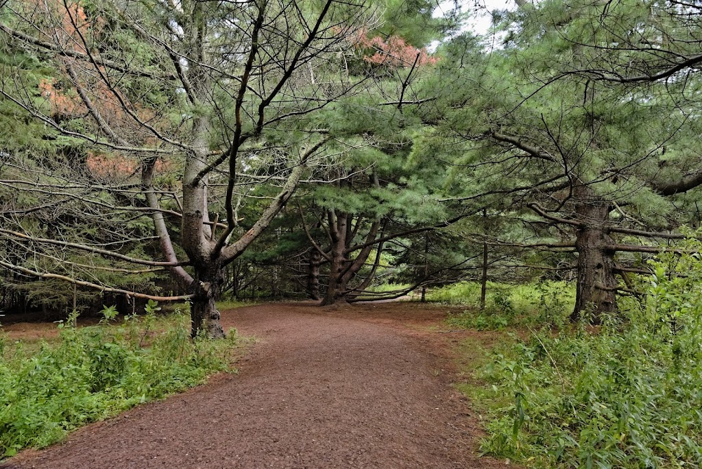 A.B. Simpson Memorial inside the Cavendish Community Park | Green Gables, 7542 PE-13, Green Gables, PE C0A 1M0, Canada | Phone: (416) 674-7878