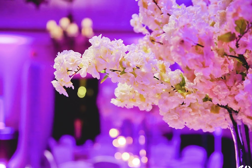 CHAMELEON EVENTS | Greater Toronto Area, Uxbridge, ON L0C 1A0, Canada | Phone: (905) 706-5732