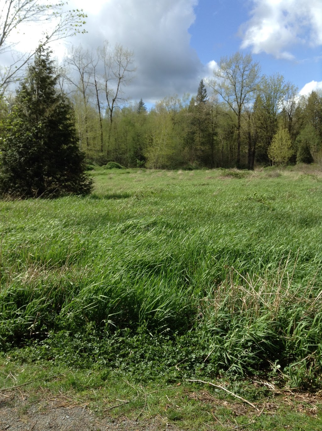 Douglas Taylor Park | Olund Rd, Abbotsford, BC V4X, Canada