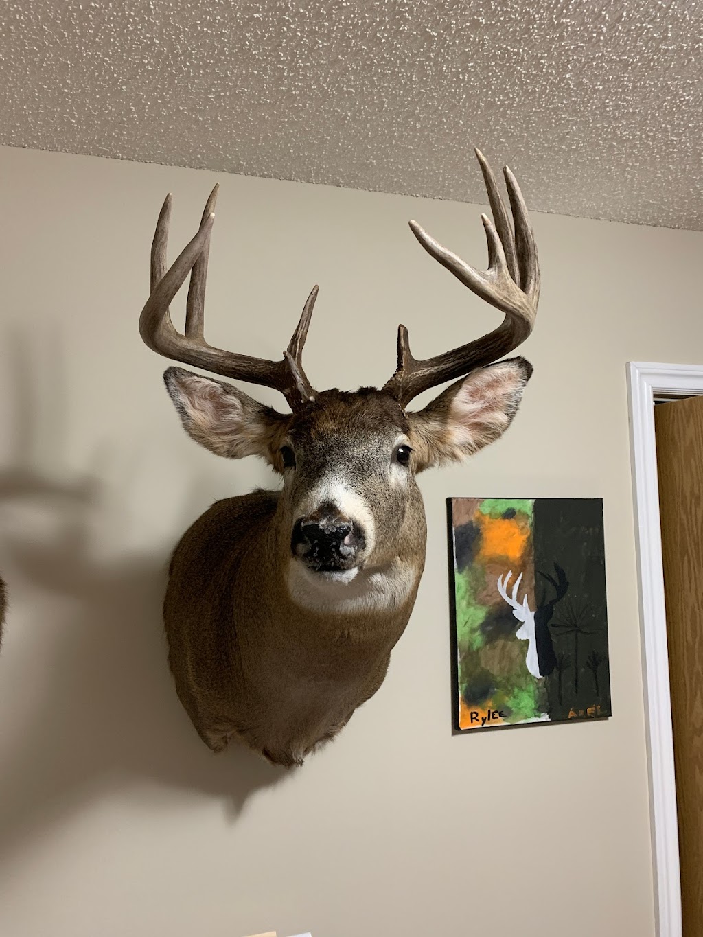 Pipestone Taxidermy | Township Rd 472A, Falun, AB T0C 1H0, Canada | Phone: (587) 568-8861