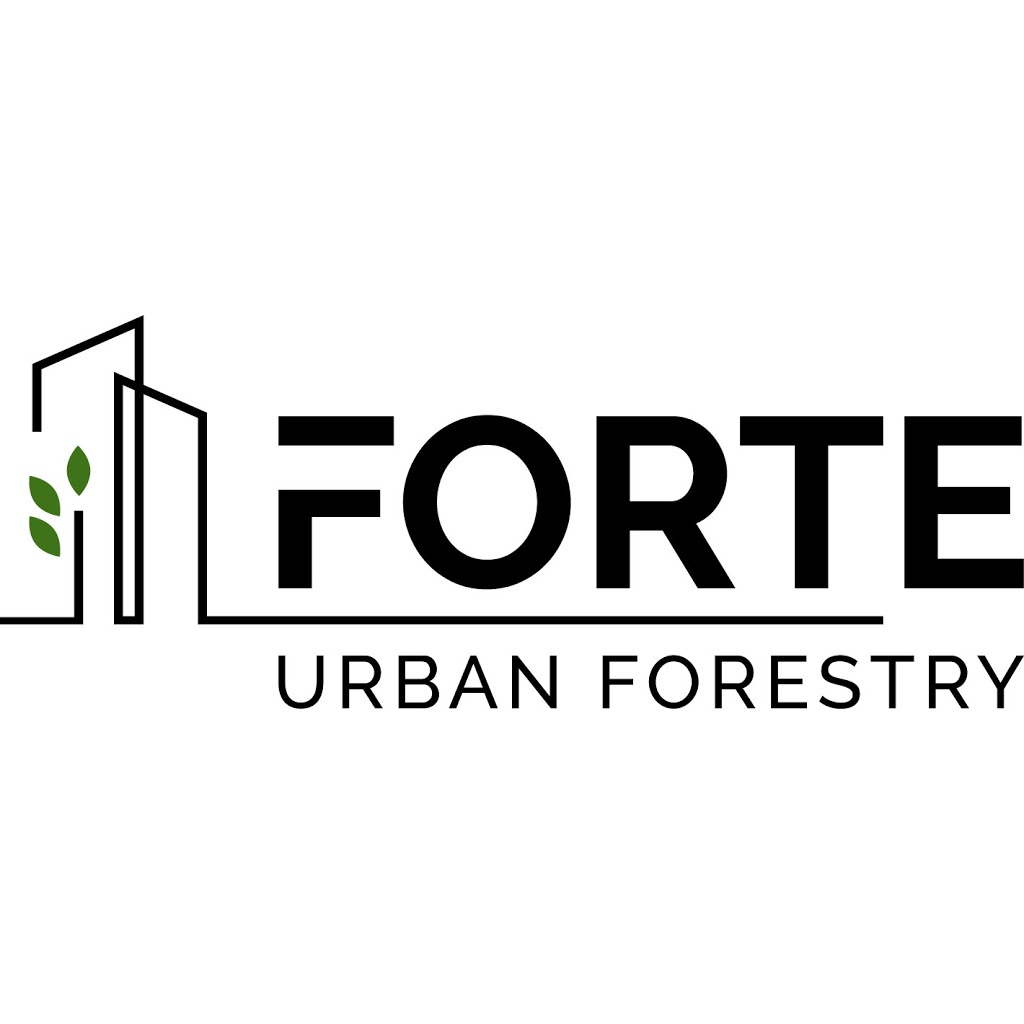 Forte Urban Forestry | 1863 Stainsbury Ave #127, Vancouver, BC V5N 2M6, Canada | Phone: (604) 818-8655