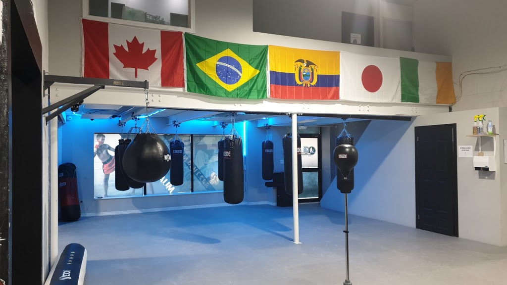 C4 MMA & Fitness | 392 Gibraltar Dr, Mississauga, ON L5T 2P6, Canada | Phone: (647) 865-1260