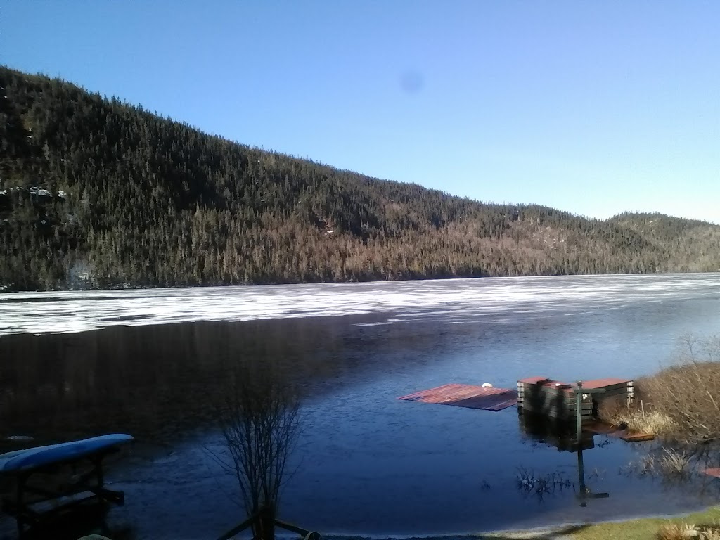 Gîte du Chien Noir | 337 Chem. du Lac à la Croix, Saint-Félix-dOtis, QC G0V 1M0, Canada | Phone: (418) 544-5596