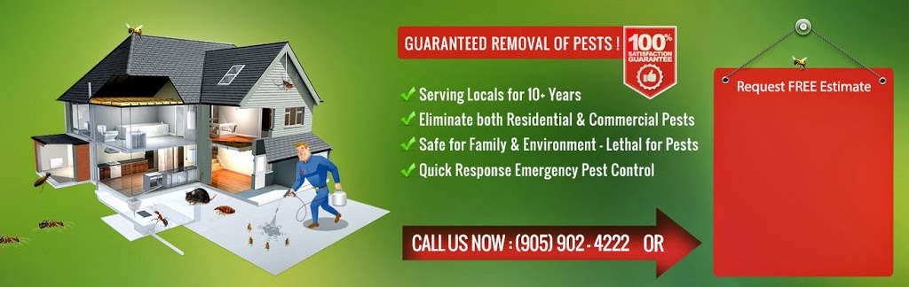 Pest Exterminators Hamilton | Hamilton, ON L8H 7P8, Canada | Phone: (289) 799-3140