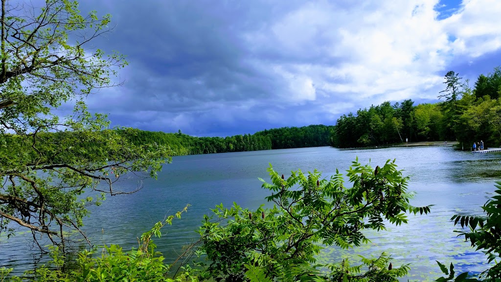 Sharbot Lake Provincial Park Boat Launch | 25467 ON-7, Sharbot Lake, ON K0H 2P0, Canada | Phone: (613) 335-2814