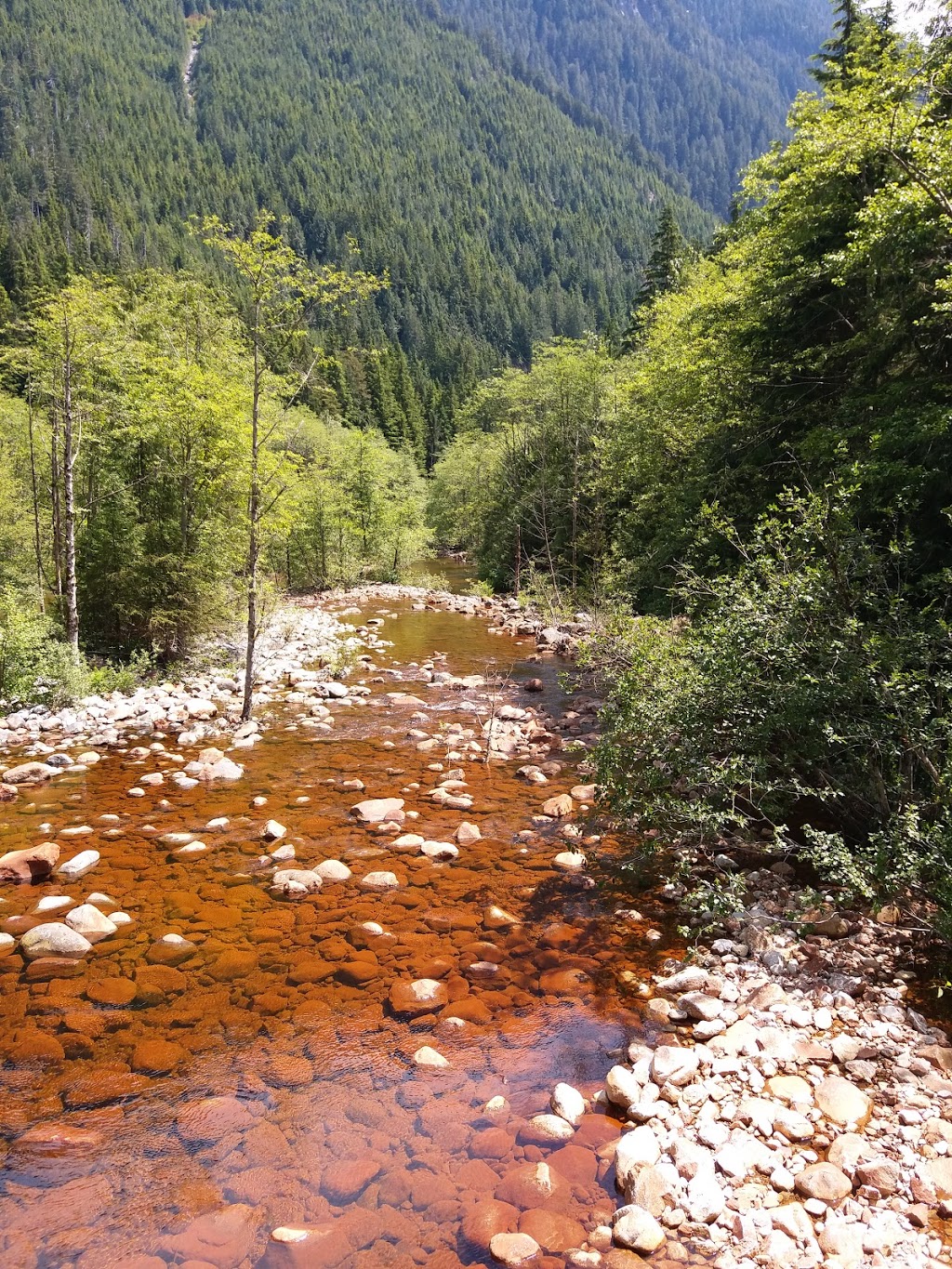 Seymour River Hatchery | Greater Vancouver A, BC V7K, Canada