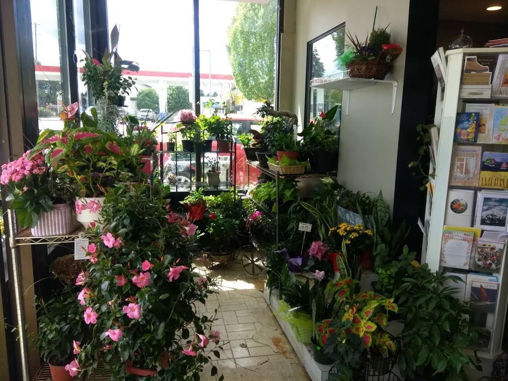 Triple A Florist | 12010 232 St #101, Maple Ridge, BC V2X 6T3, Canada | Phone: (604) 466-3101