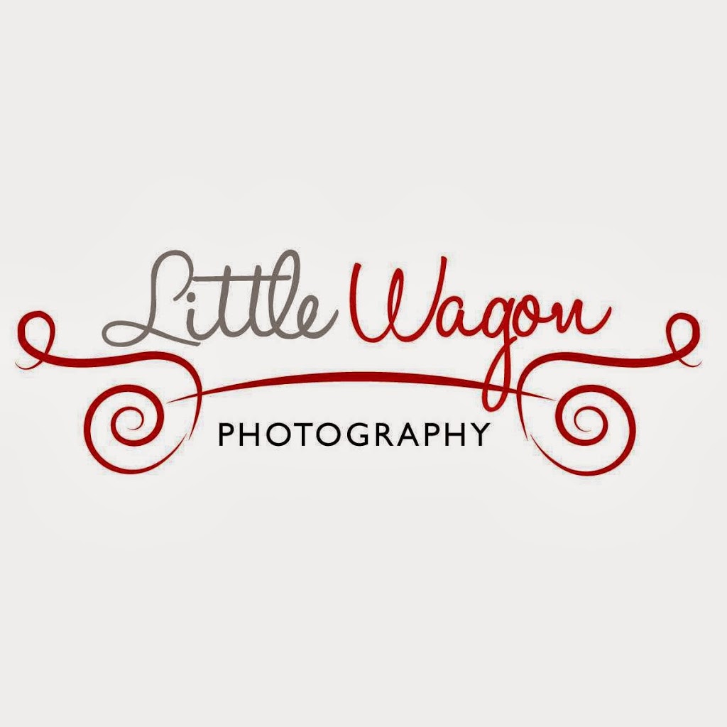 Little Wagon Photography | 120 Discovery Cres, Stittsville, ON K2S 0Z9, Canada | Phone: (613) 266-8934