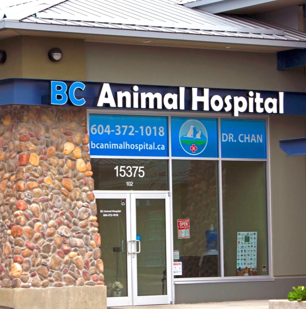 BC Animal Hospital | 15375 BC-10 #102, Surrey, BC V3S 0X9, Canada | Phone: (604) 372-1018