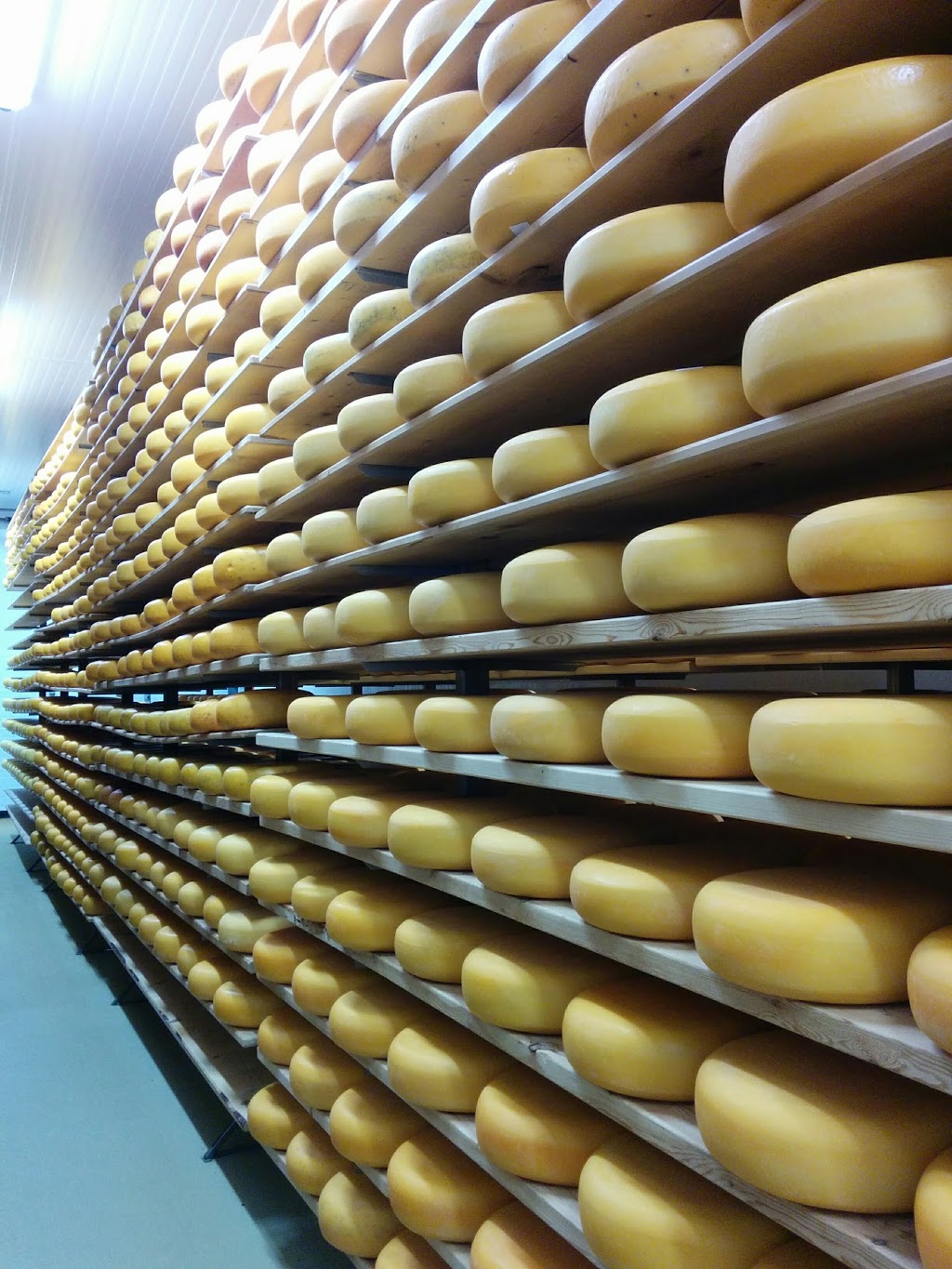 Mountainoak Cheese Ltd | 3165 Huron Road, New Hamburg, ON N3A 3C3, Canada | Phone: (519) 662-4967