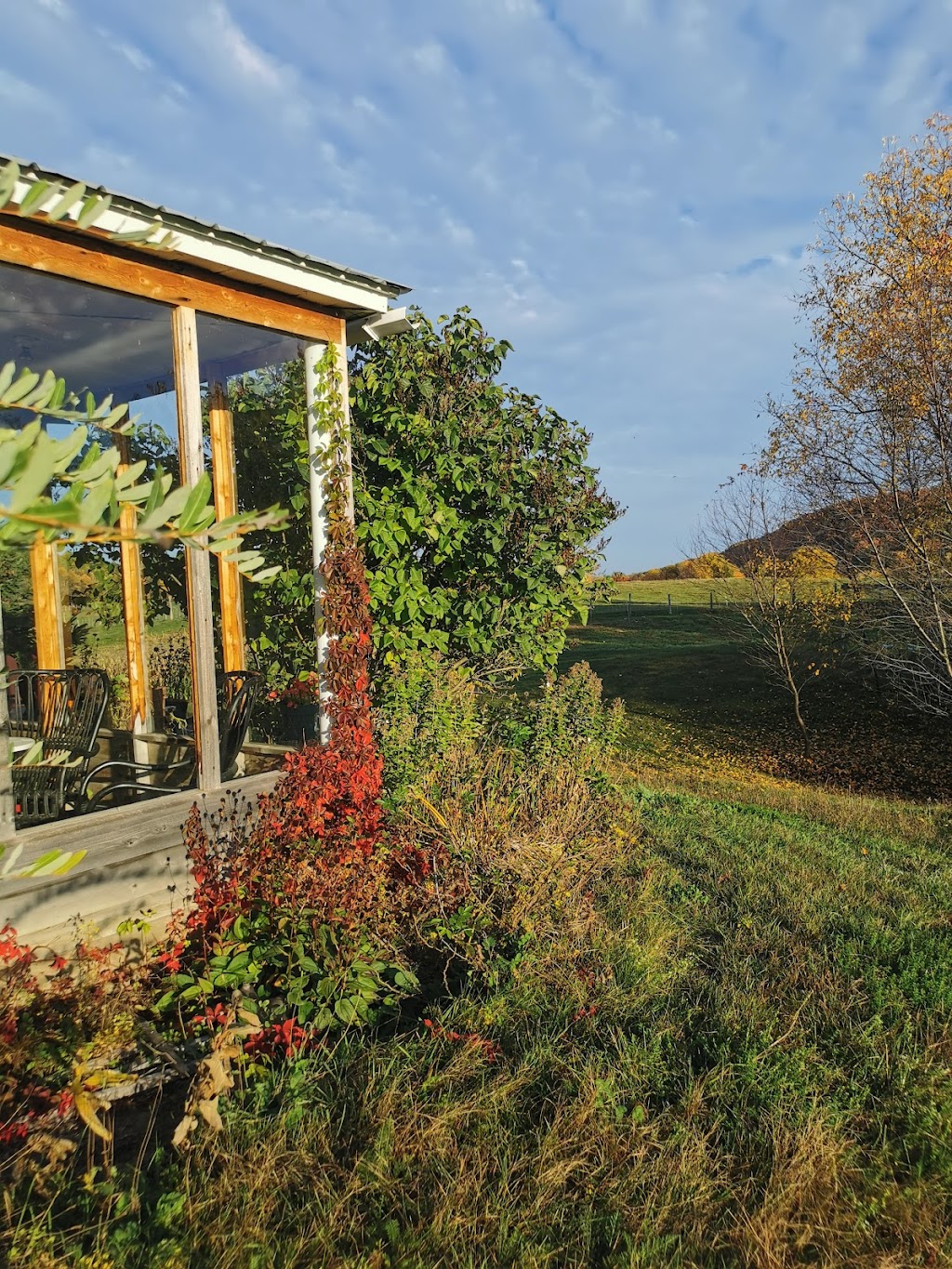 Ferme fée et fougère | 377, route 321 Nord, Ripon, QC J0V 1V0, Canada | Phone: (819) 428-1499