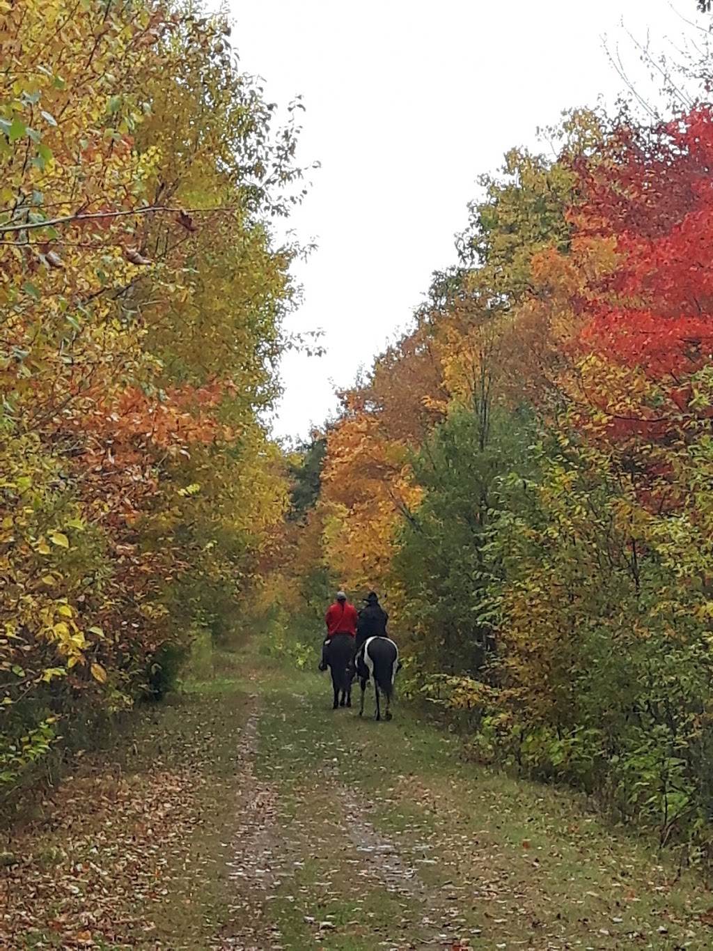 Parc Municipal De Rigaud | 15 Rue du Boisé des Franciscaines, Rigaud, QC J0P 1P0, Canada | Phone: (450) 451-4608