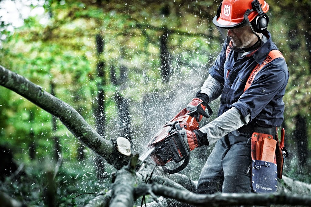 Maplecrest Tree Services | 8988 Webster Rd, Glencairn, ON L0M 1K0, Canada | Phone: (647) 501-4954