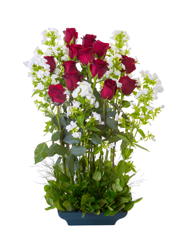 Carstairs Floral Design Shop | Unit B, 104 10th Ave Box 206, Carstairs, AB T0M 0N0, Canada | Phone: (403) 819-1205