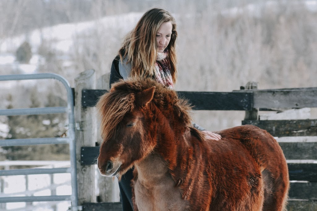 North Of 9 Equine & Canine Bodywork | 5121 4th Line, Tottenham, ON L0G 1W0, Canada | Phone: (705) 229-6677