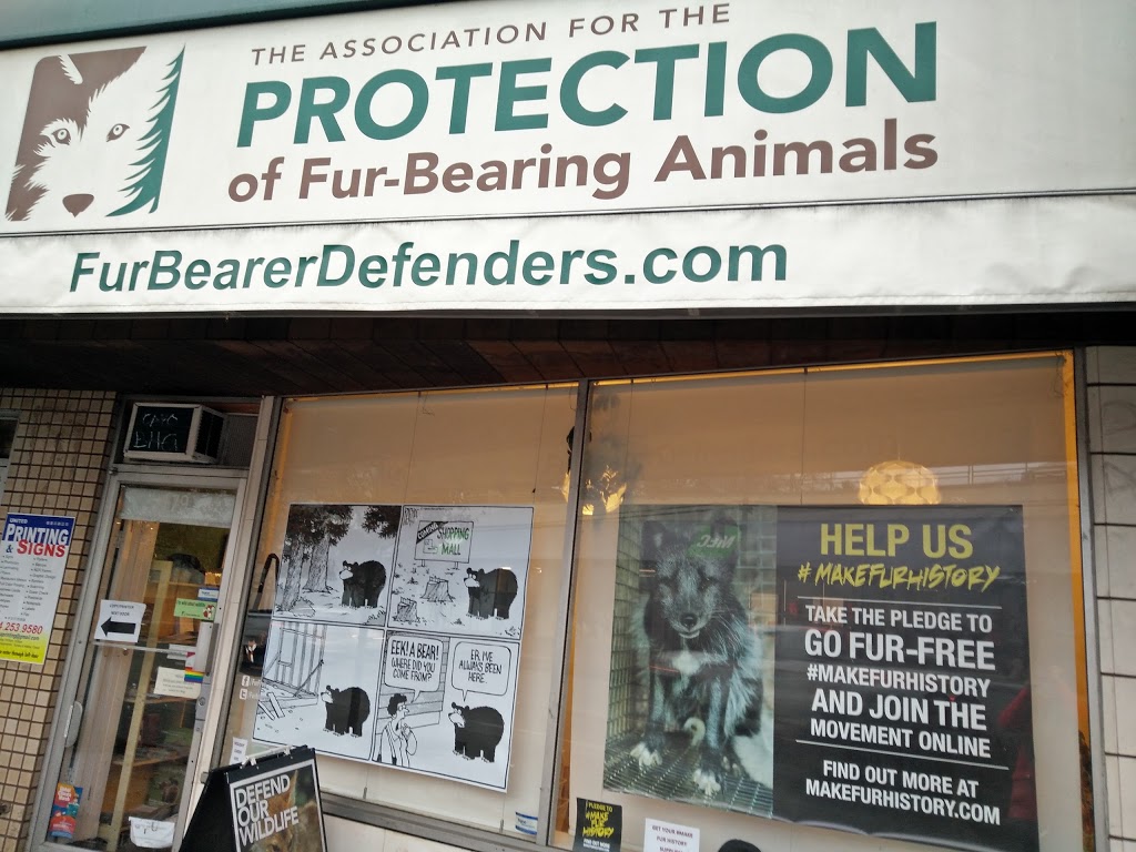 Fur Bearer Defenders | suite 701, 718, 333 Brooksbank Ave, North Vancouver, BC V7J 3V8, Canada | Phone: (604) 435-1850