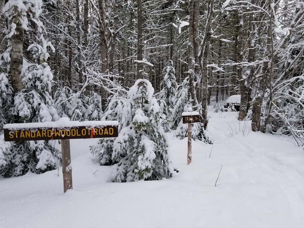 Auburn Demo Woodlot | Byis Ln, Prince Edward Island C0A 1T0, Canada | Phone: (902) 368-4700