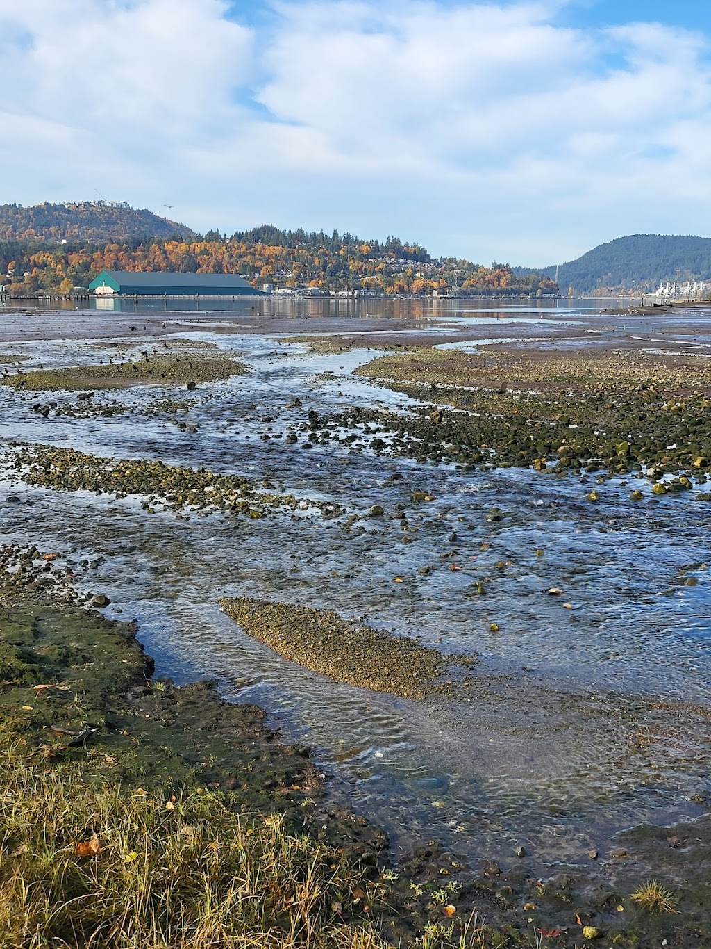 Port Moody Ecological Society (Noons Creek Hatchery) | 340 Ioco Rd, Port Moody, BC V3H 2V7, Canada | Phone: (604) 469-9106