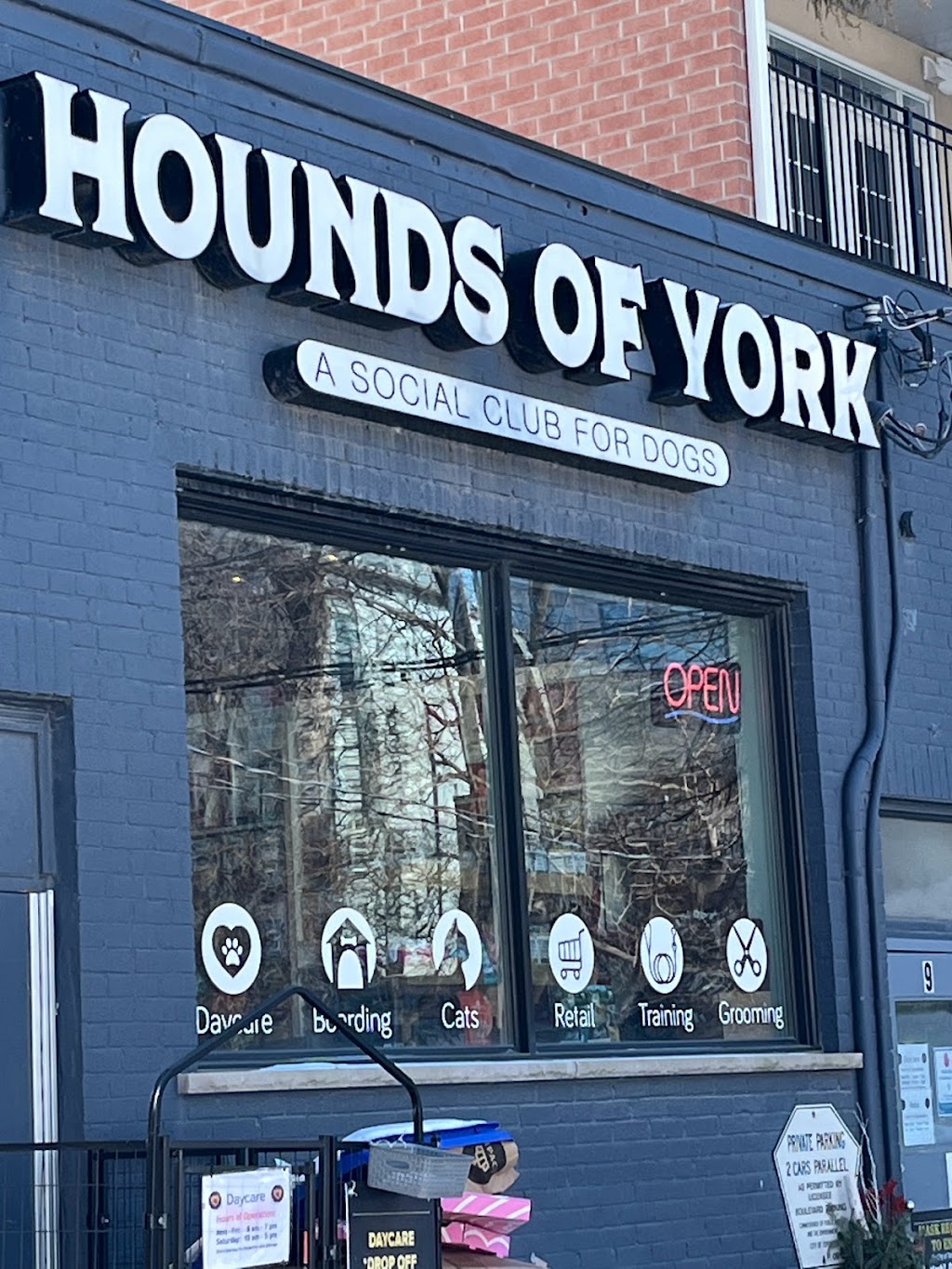 Hounds Of York | 9 Niagara St, Toronto, ON M5V 1C2, Canada | Phone: (416) 593-5225