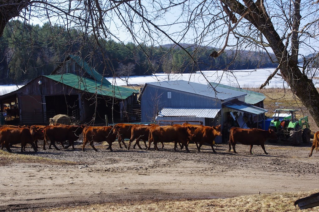 Ferme Sage | 157 Chem. Sage, Lac-Sainte-Marie, QC J0X 1Z0, Canada | Phone: (819) 467-2979