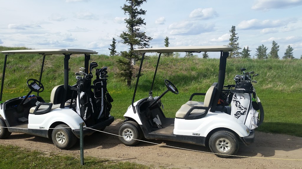 Fort in View Golf Course | 1 55028, Range Rd 230, Fort Saskatchewan, AB T8L 5B4, Canada | Phone: (780) 998-1234