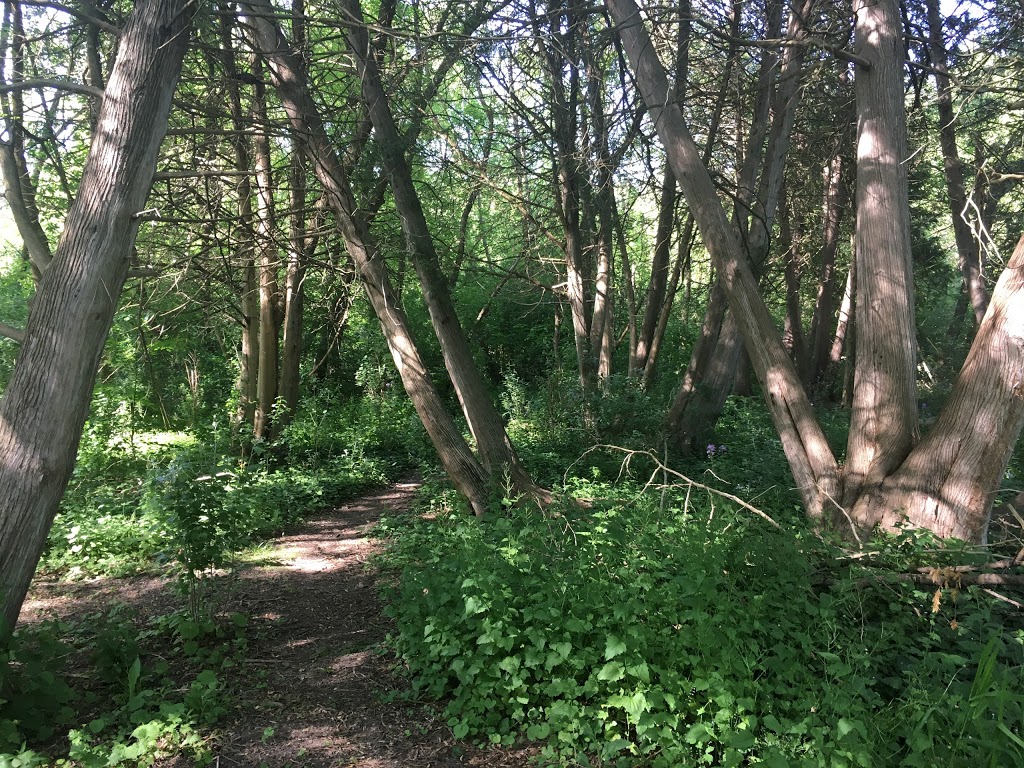 Mill Pond Trail | Richmond Hill, ON L4C 9N7, Canada