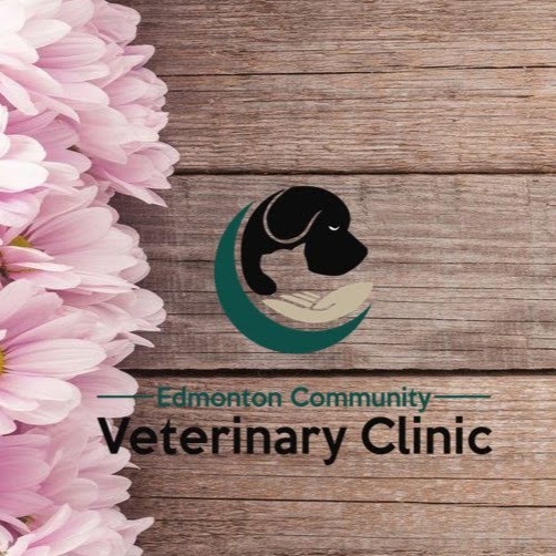 Edmonton Community Veterinary Clinic | 12701 119 St NW, Edmonton, AB T5E 5M2, Canada | Phone: (587) 635-5333