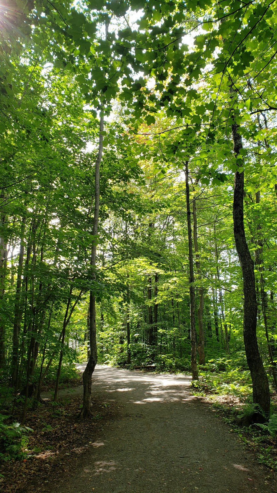 Parc de la rivière | LAncienne-Lorette, QC G2E, Canada | Phone: (418) 872-9811