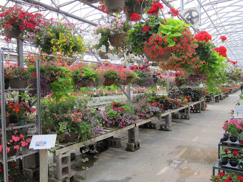 Jade Gardens & Greenhouses | 5532 Trafalgar Rd, Milton, ON L9E 0Y8, Canada | Phone: (905) 878-0722