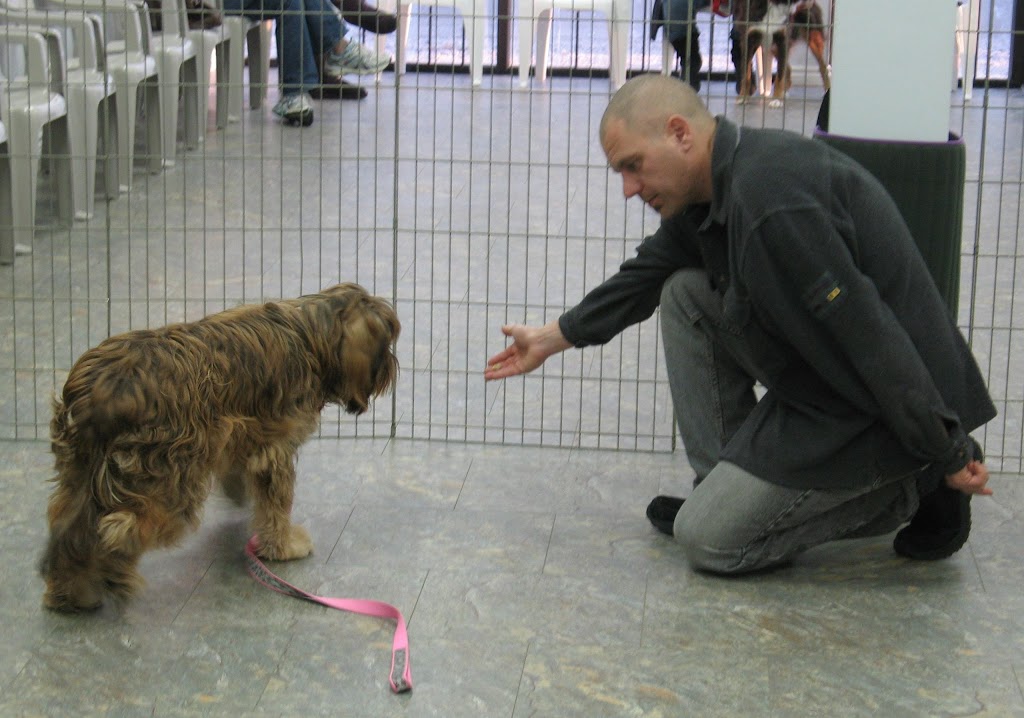 ACTT - Norma Jeannes Dog Training | 1620 Wallbridge Loyalist Rd, Belleville, ON K8N 4Z5, Canada | Phone: (705) 917-3647