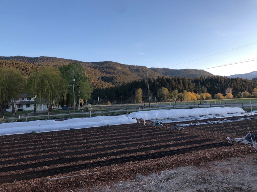 MacVicar Family Farm | 1889 Nicolls Rd, Merritt, BC V1K 1N7, Canada | Phone: (250) 936-8186