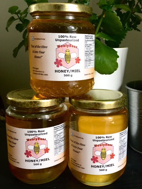 Wooly Bees Honey | 267 Concession 12 E, Formosa, ON N0G 1W0, Canada | Phone: (519) 387-0505