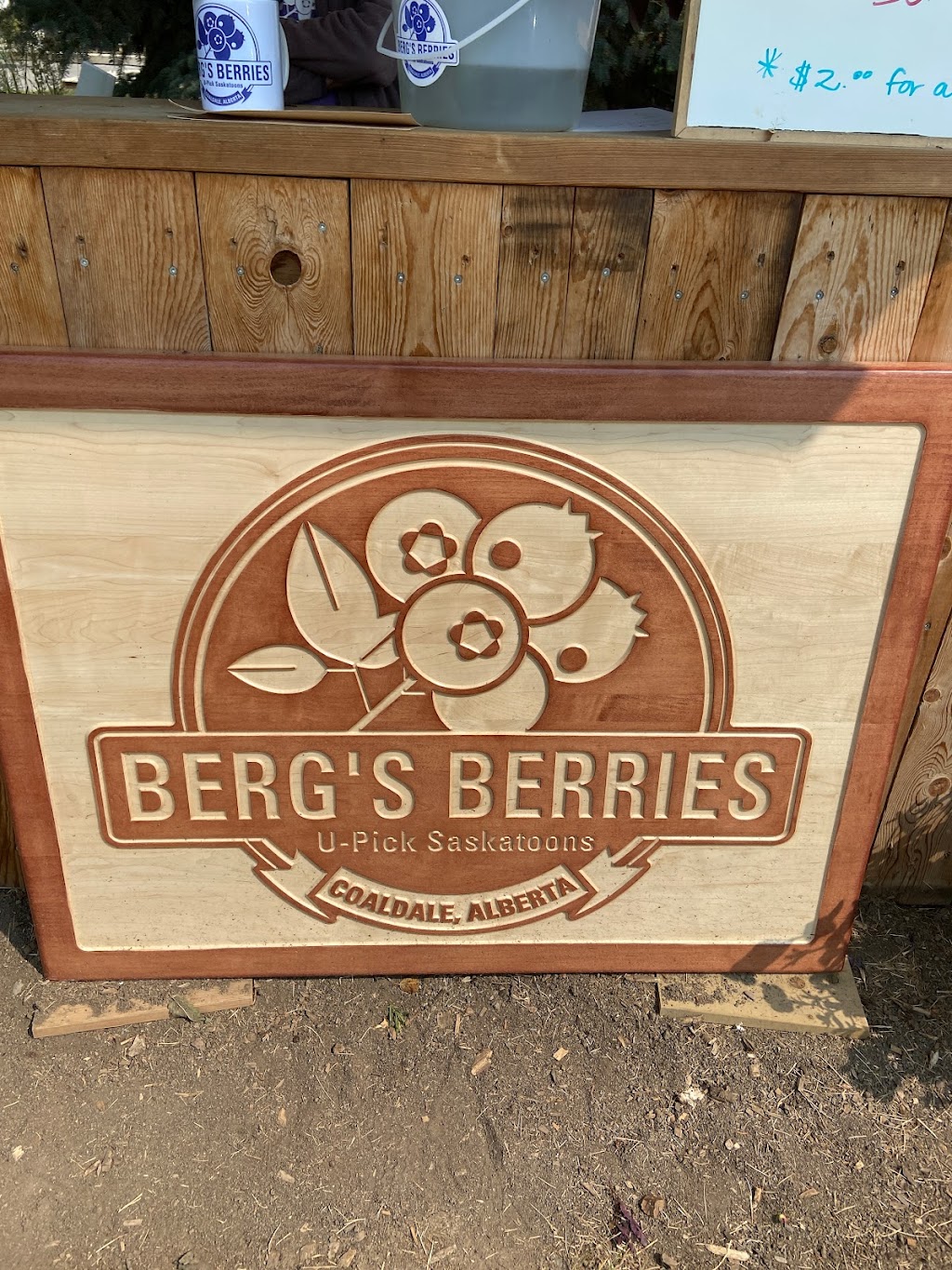 Bergs Berries | 93056, Range Rd 204, Coaldale, AB T1M 1N3, Canada | Phone: (403) 381-9073